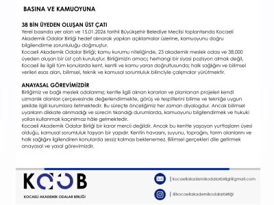 BASINA VE KAMUOYUNA