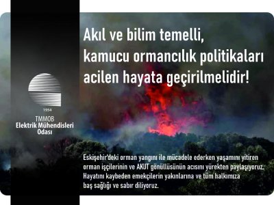 AKIL VE BİLİM TEMELLİ, KAMUCU ORMANCILIK POLİTİKALARI ACİLEN HAYATA GEÇİRİLMELİDİR!
