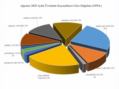 TÜRKİYE ELEKTRİK ENERJİSİ İSTATİSTİKLERİ AĞUSTOS 2025 YAYIMLANDI